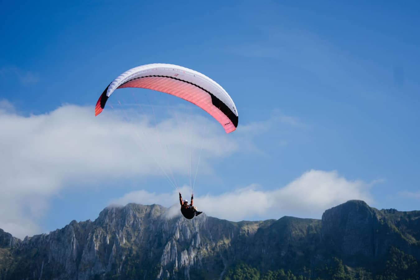 ELISE GIN M - PARAPENTE OCCASION
